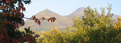 lu4