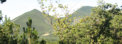 lu5